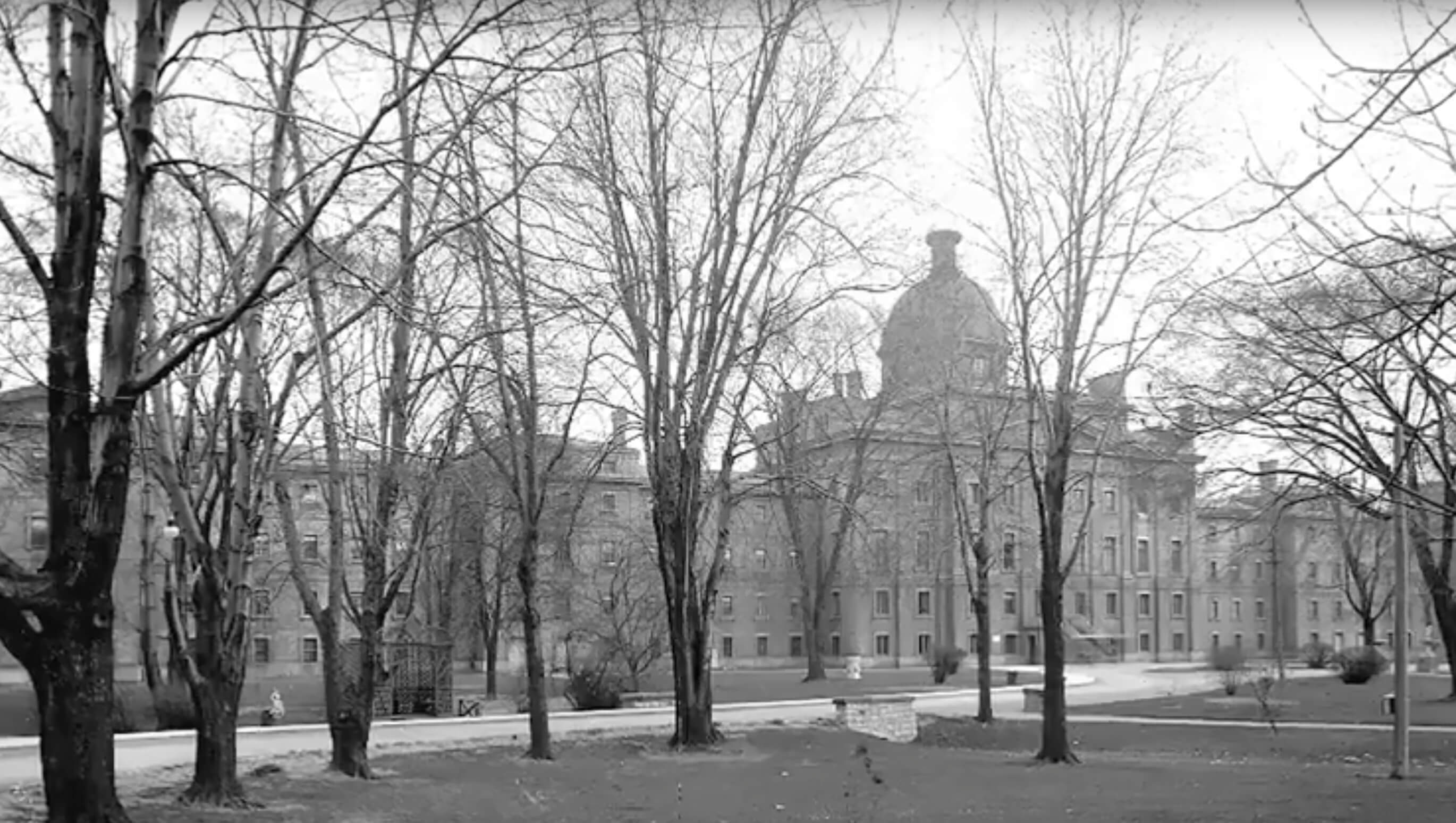 Picture of CAMH cornerstone
