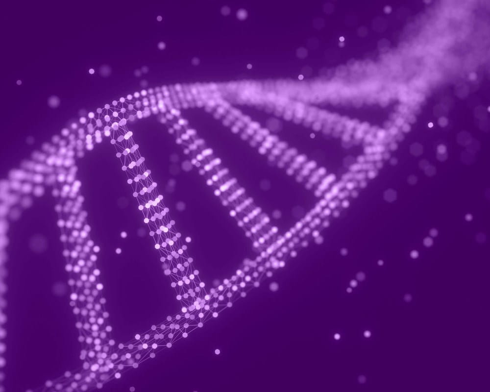 DNA molecule structure