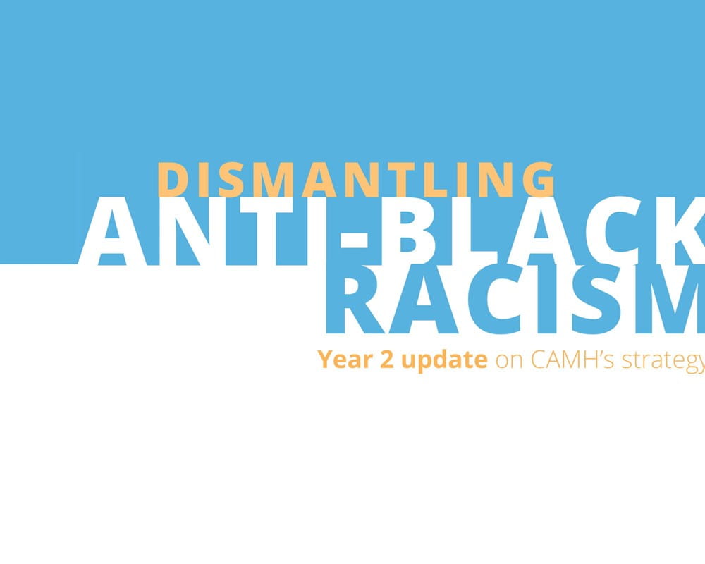 Dismantling Anti-Black Racism - Year 2 Update