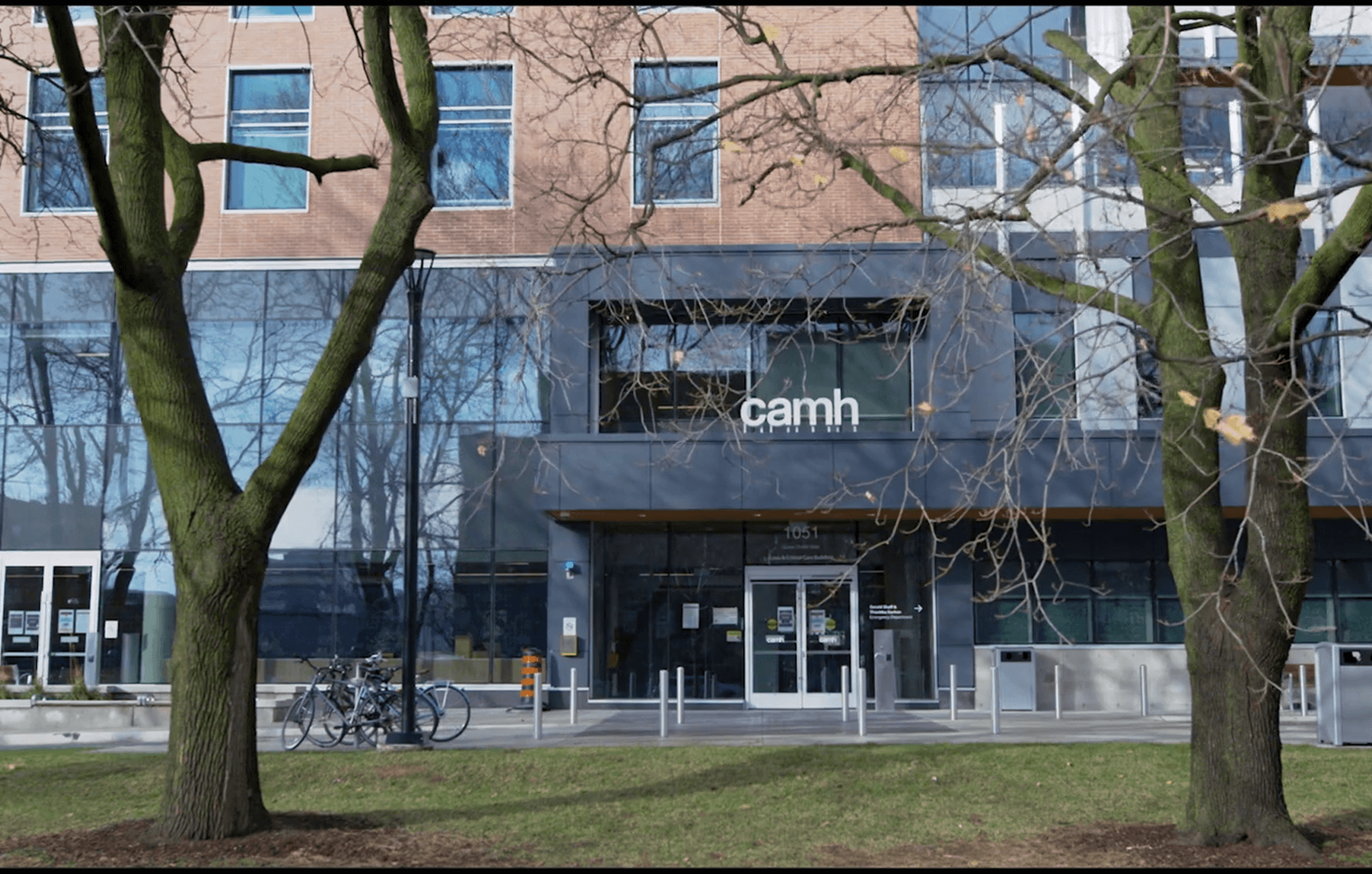 CAMH/CAMH Foundation Annual Report 2020–2021 | CAMH