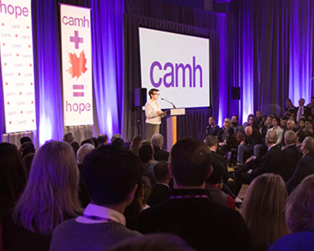 The road to discovery and innovation