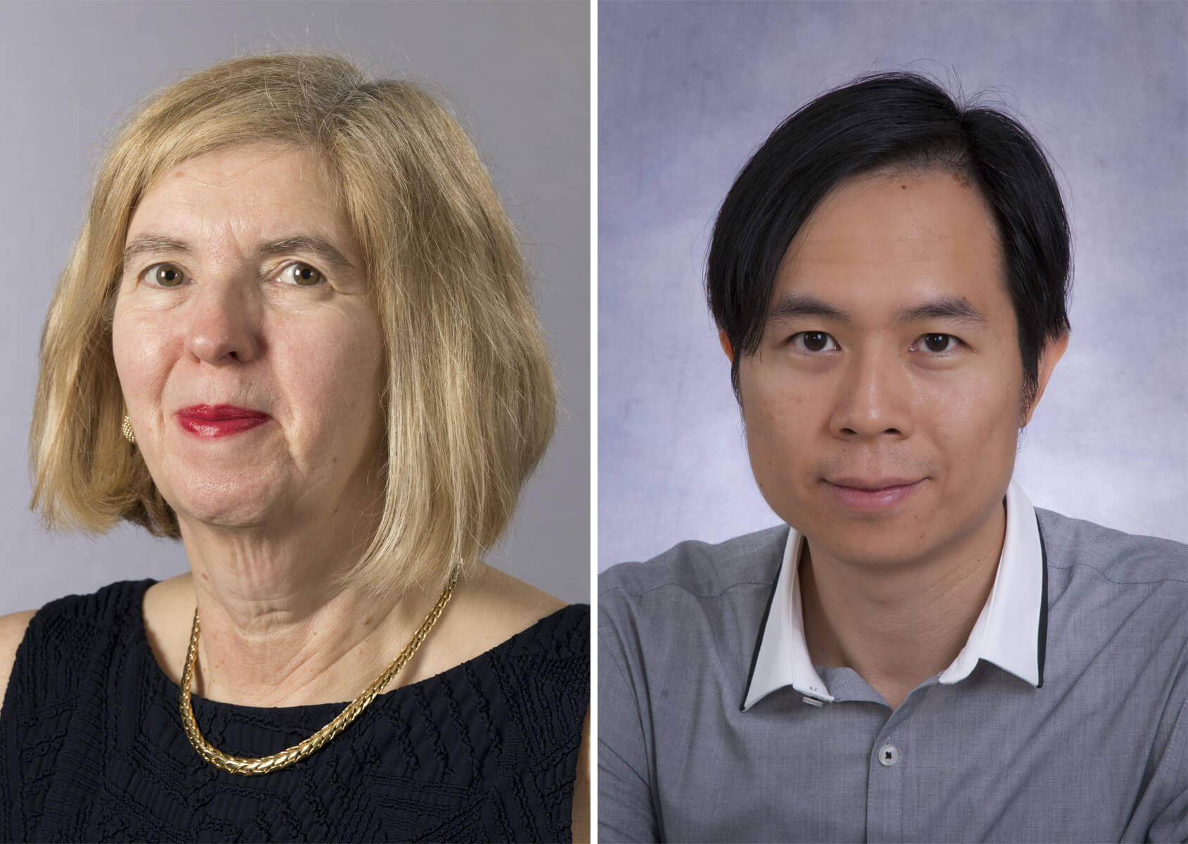 Probe of DNA repeats reveals genetic link to schizophrenia | CAMH