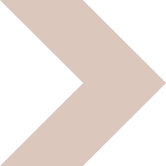 brown chevron graphic