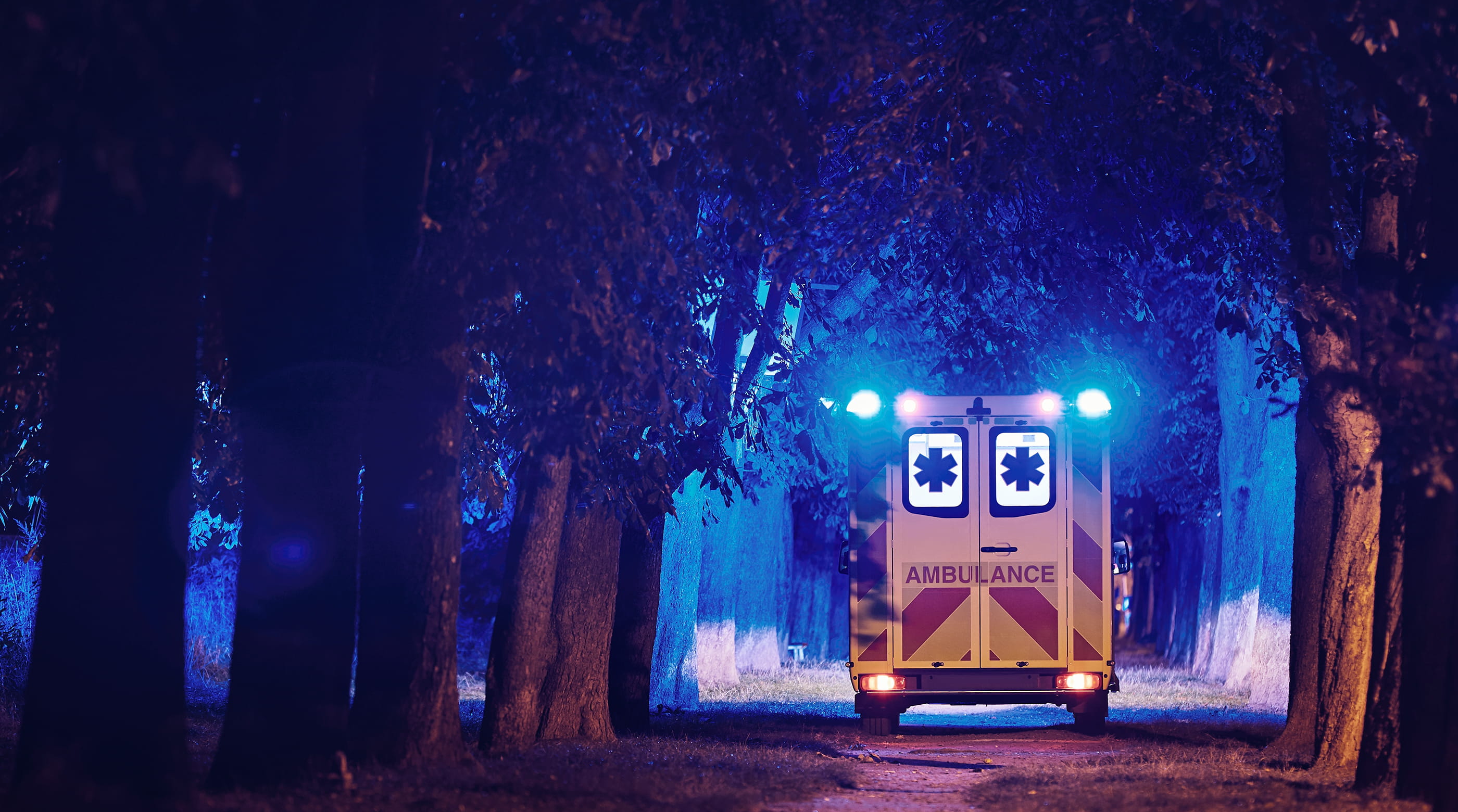 Ambualance on tree-lined street at night.