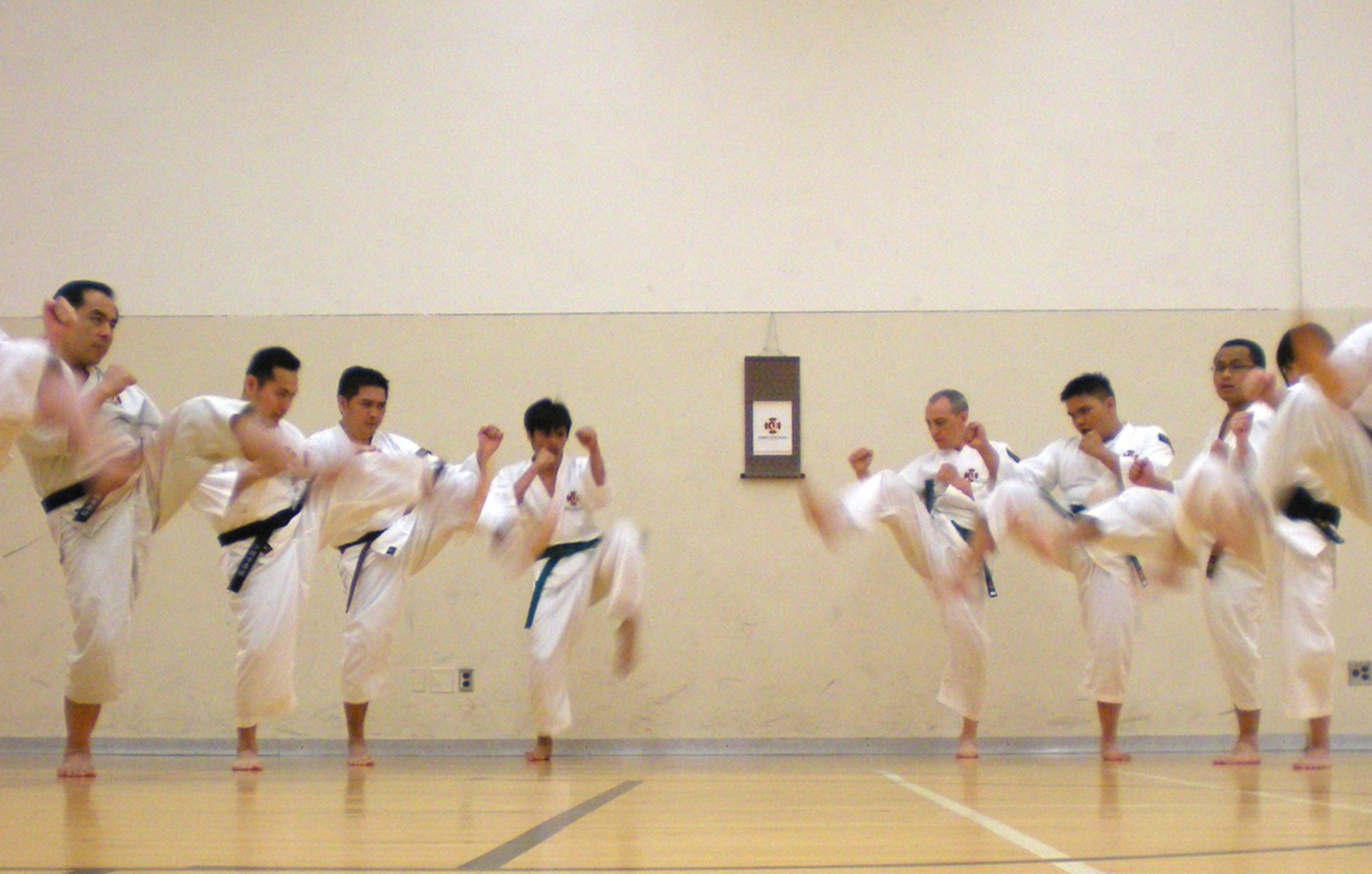 People in a row doing karate