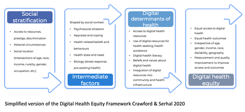 Digital health equity framework