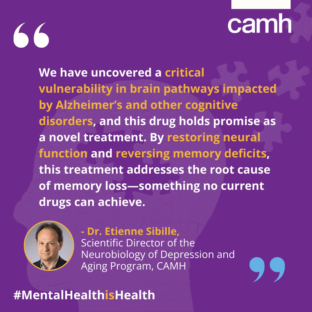 New CAMH-Developed Drug Shows Promise in Reversing Memory Loss for ...