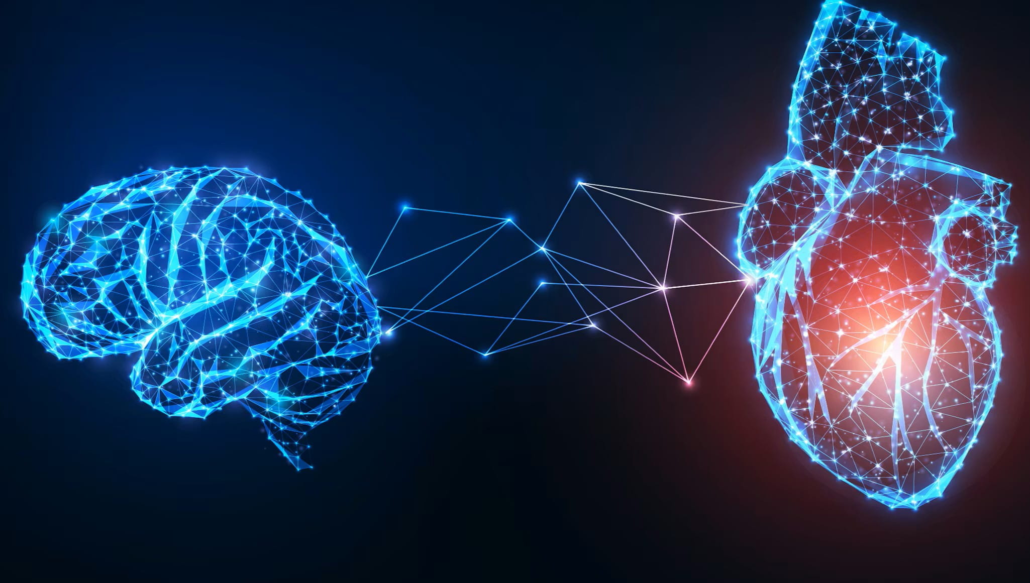 Brain Heart Illustration