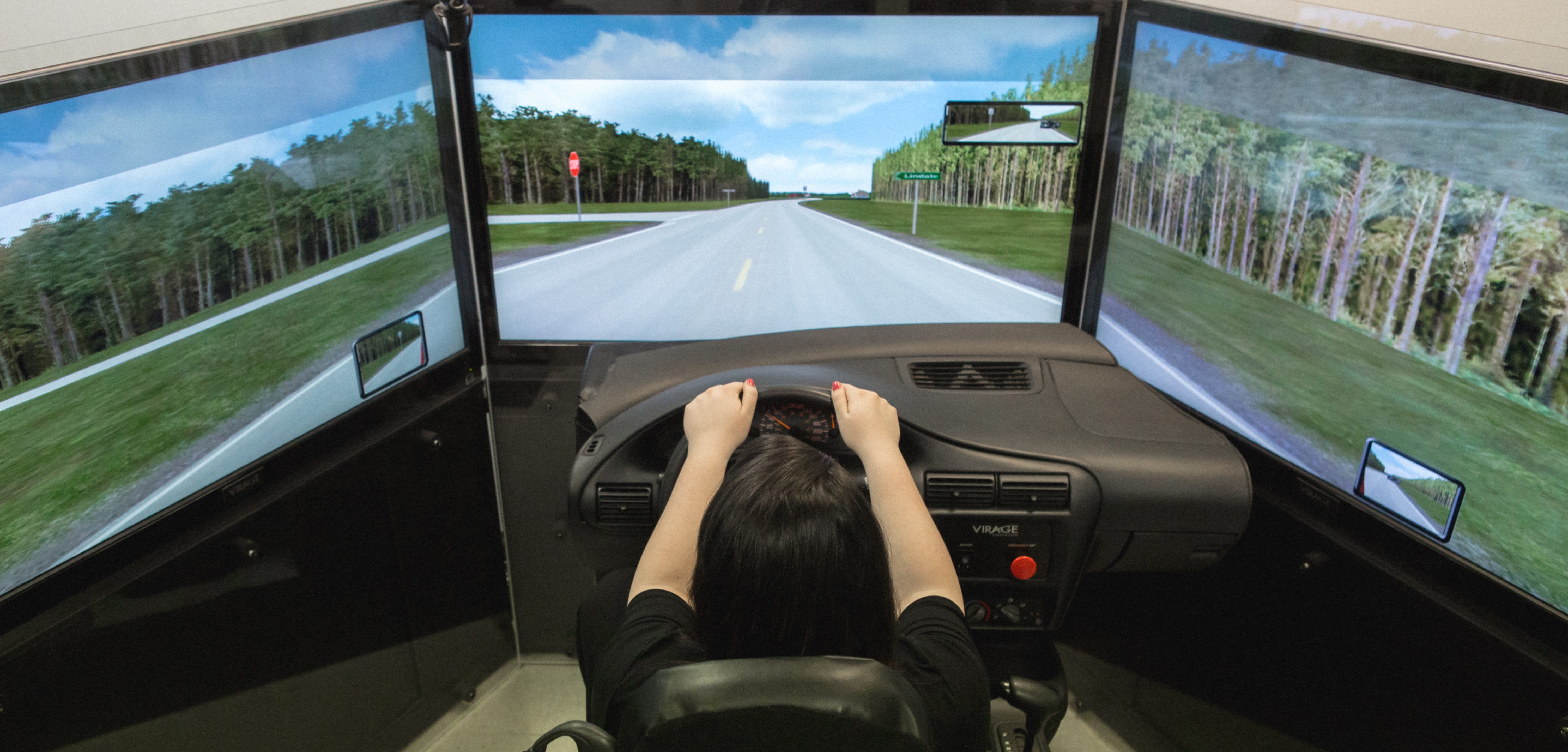 Driving Simulator REB Study Image