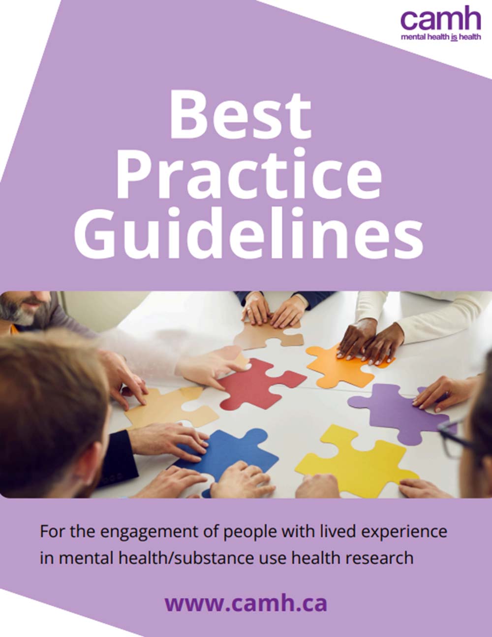 Cover of Best Practice Guidelines document